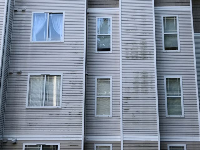 Commercial pressure washing before-crop -crop(1)