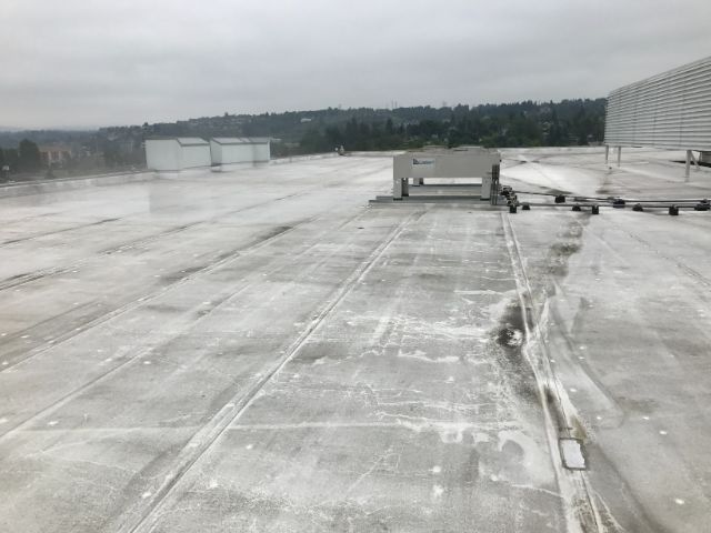 Roof membrane before-crop